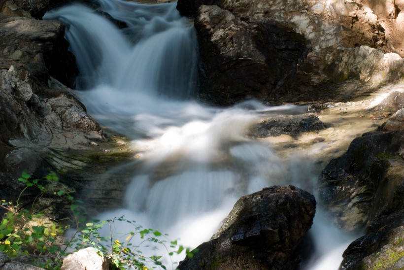 森林小溪山間流水圖片