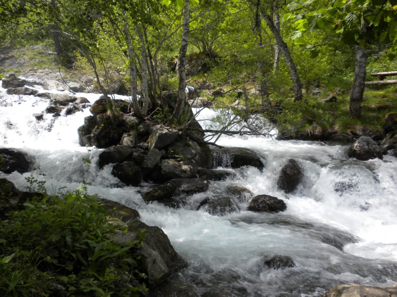 森林小溪山間流水圖片