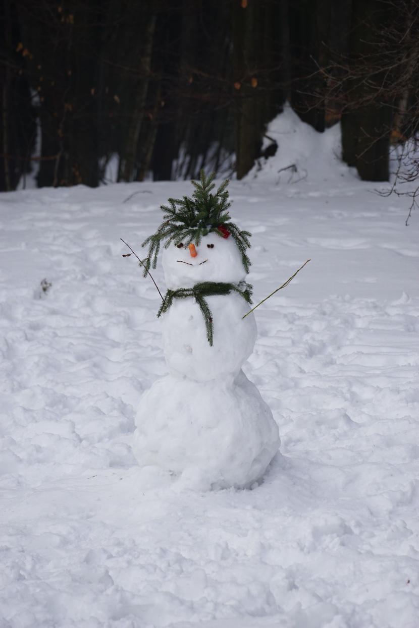 冬季雪人圖片