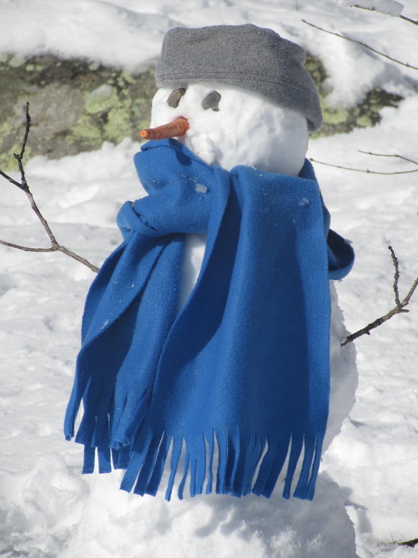 冬季造型獨特的雪人圖片