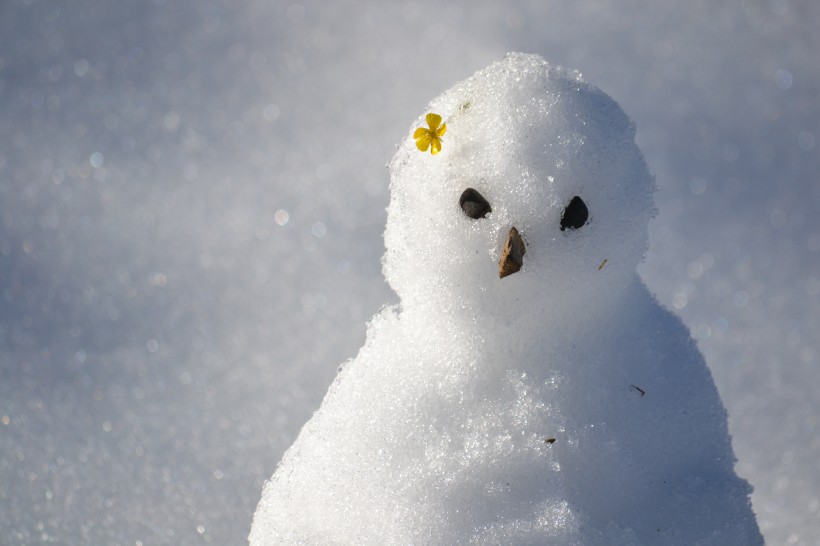 冬季造型獨特的雪人圖片