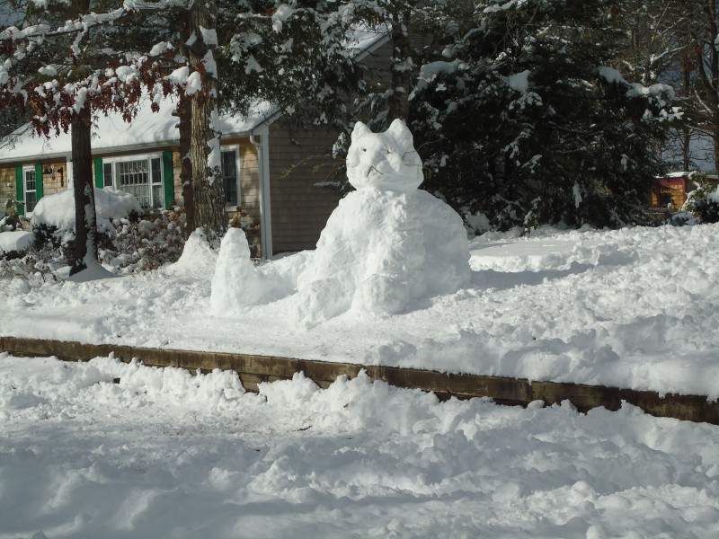 冬季造型獨特的雪人圖片