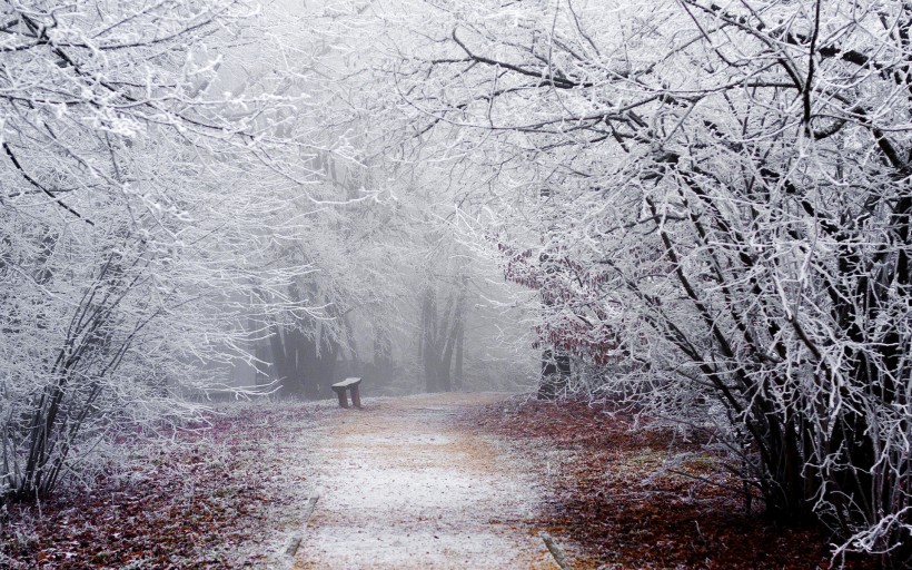 白雪皚皚的景色圖片