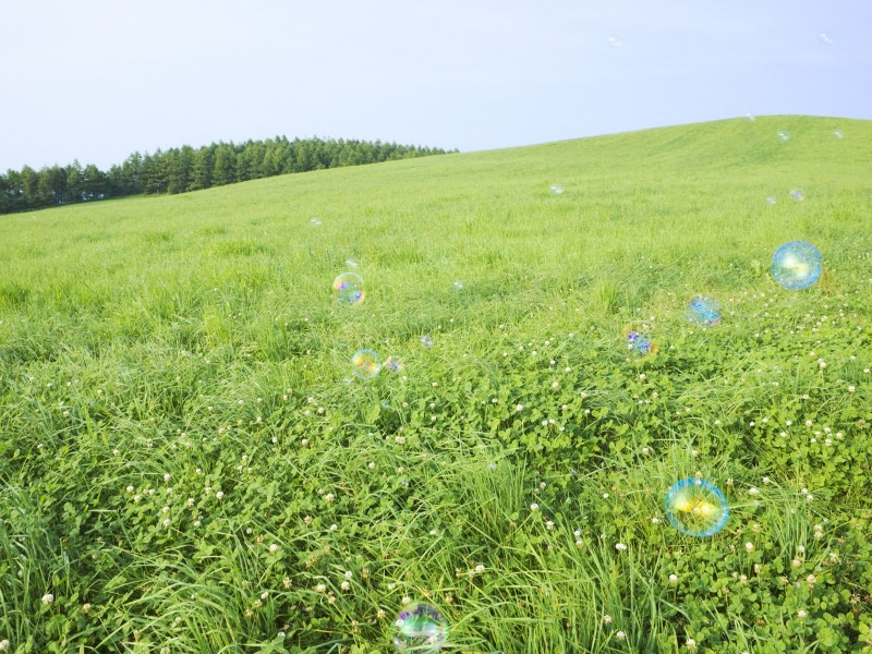 綠色草地圖片