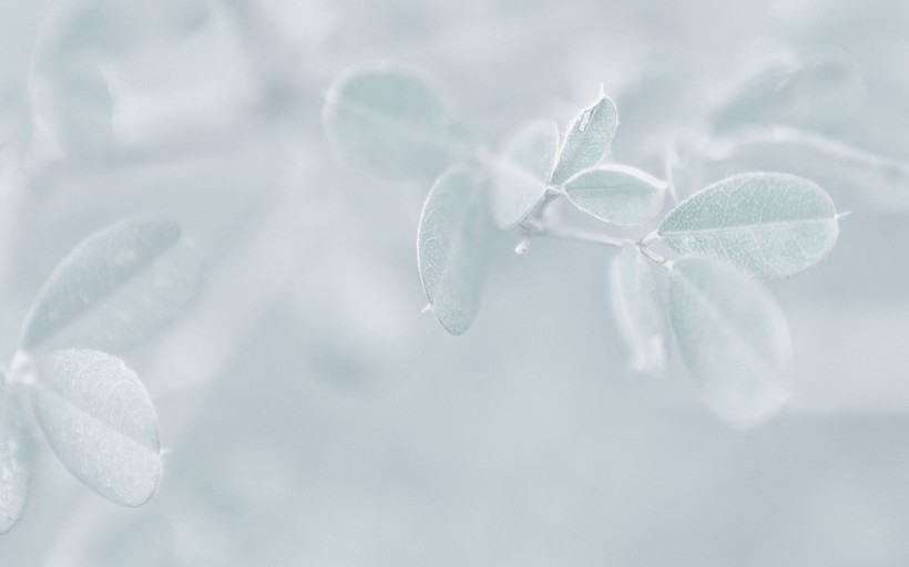 冬日唯美雪景圖片