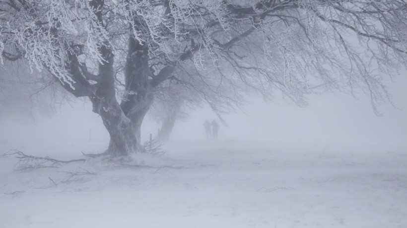 唯美雪景圖片