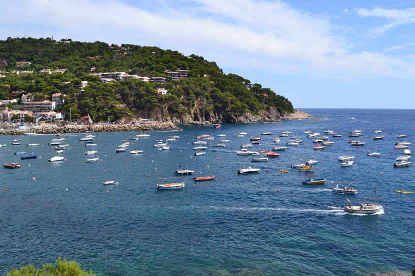 佛德角布拉瓦島海岸風景圖片