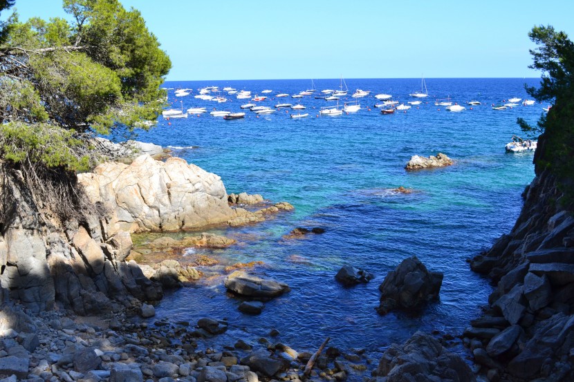 佛德角布拉瓦島海岸風景圖片