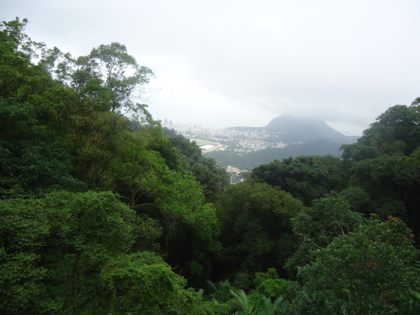 裡約熱内盧基督山圖片