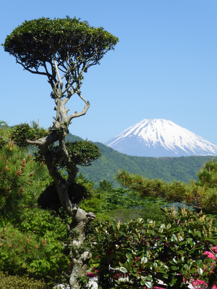 日本富士山圖片