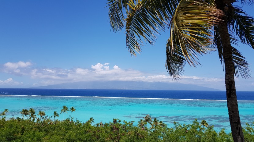 法屬波利尼西亞莫雷阿島自然風景圖片