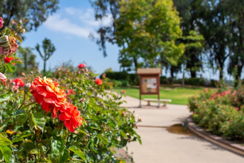 美國巴爾博亞公園風景圖片