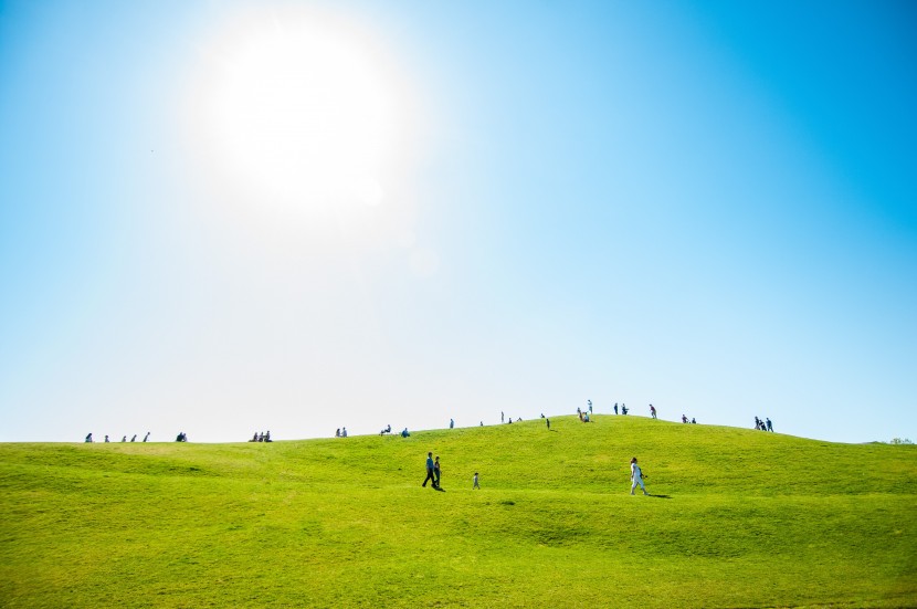 美國西雅圖煤氣廠公園圖片