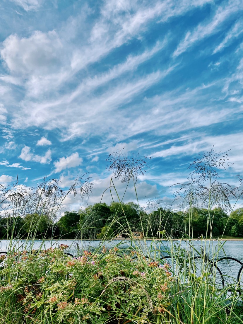 英國倫敦海德公園風景圖片