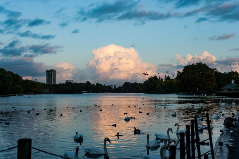 英國倫敦海德公園風景圖片