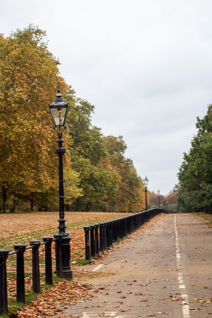 英國倫敦海德公園風景圖片