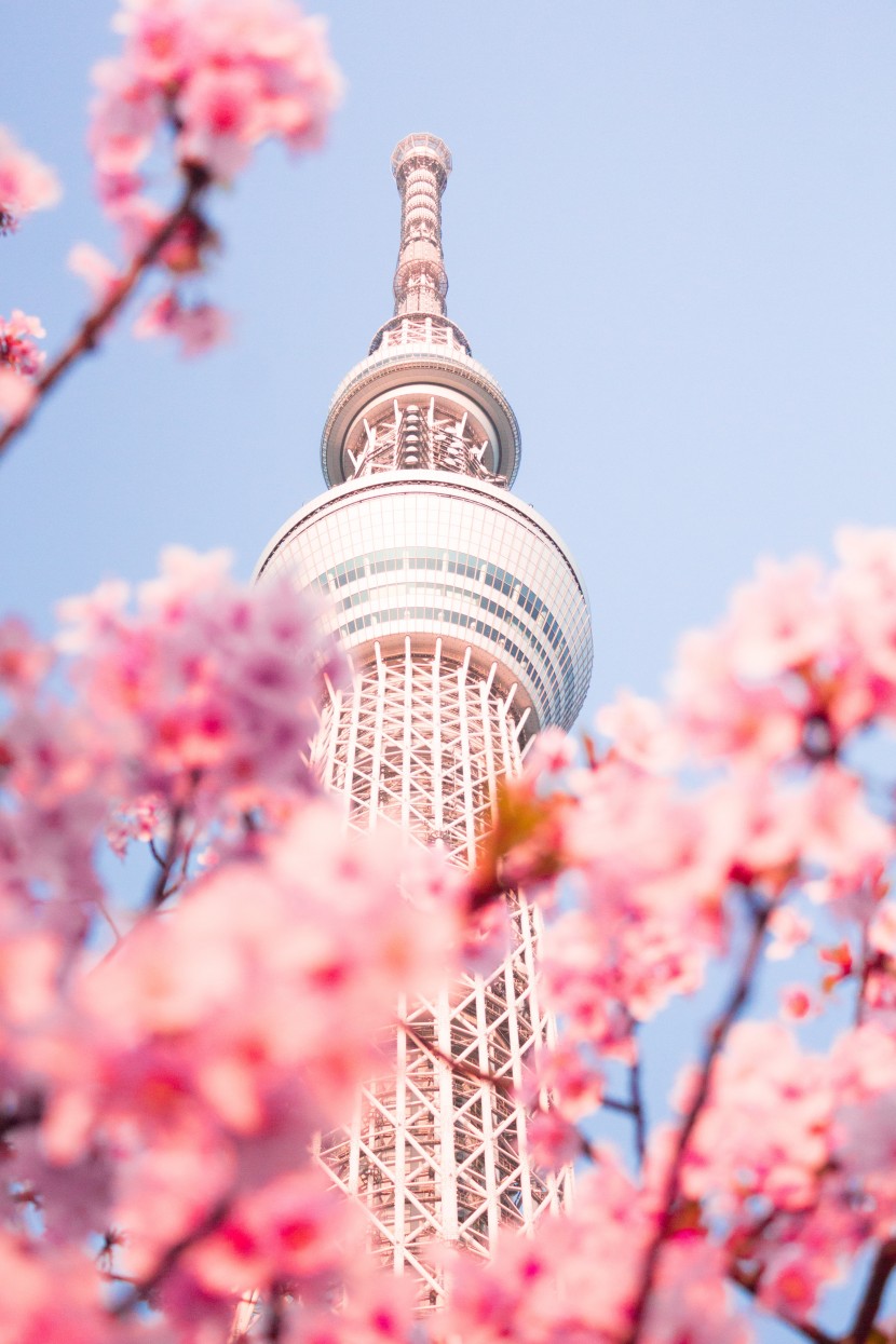 日本東京晴空塔圖片