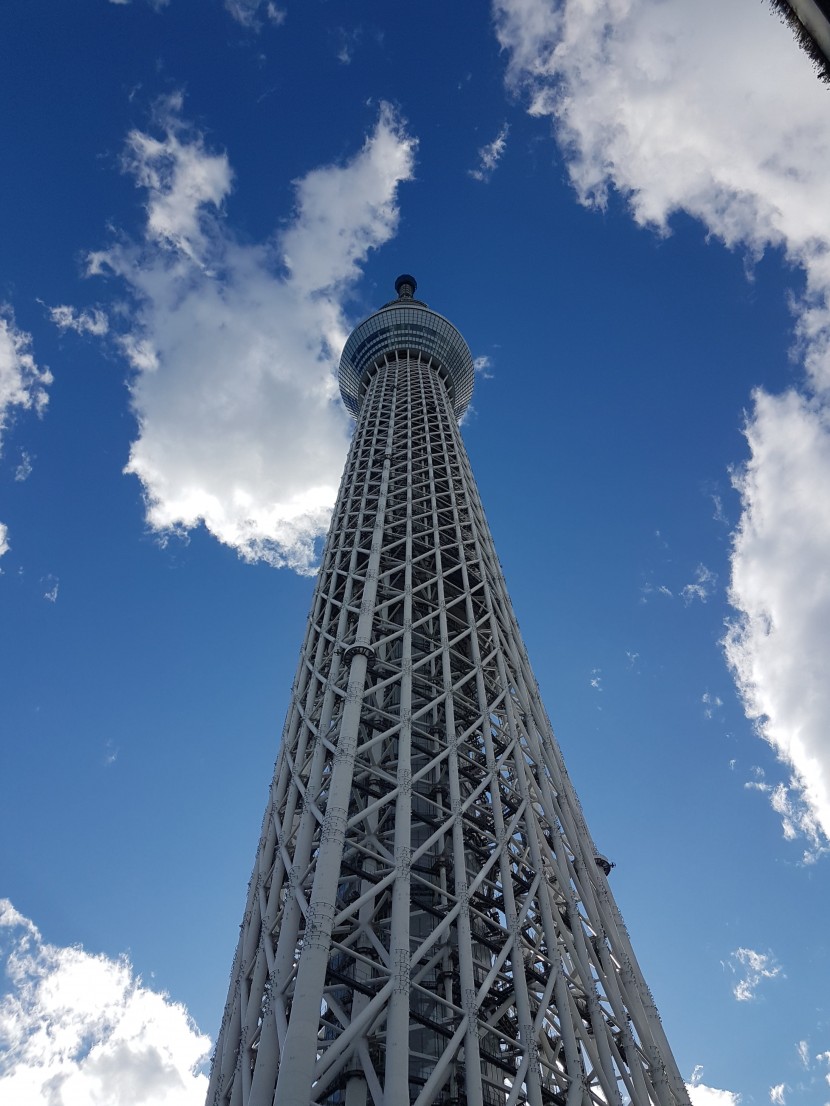 日本東京晴空塔圖片