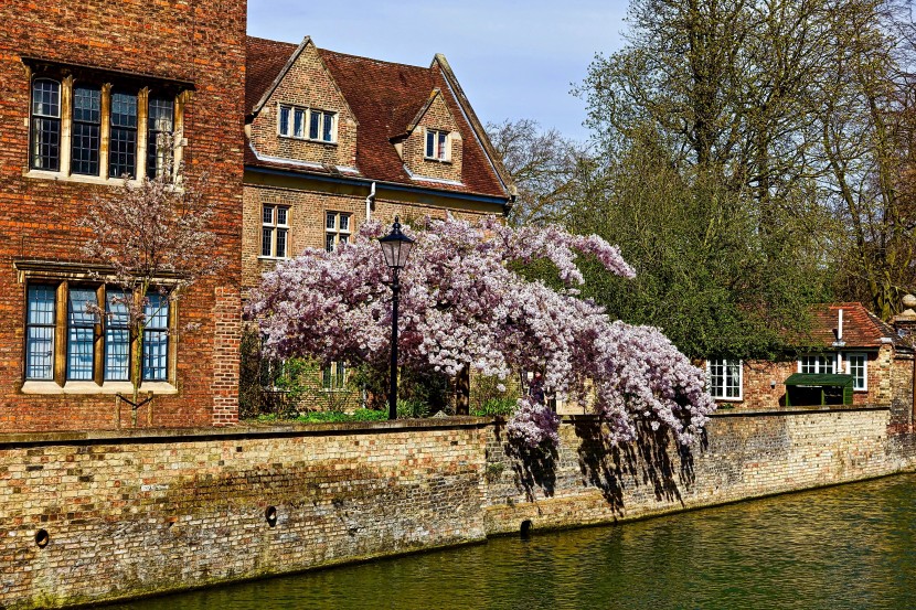 古樸的英國劍橋大學建築風景圖片