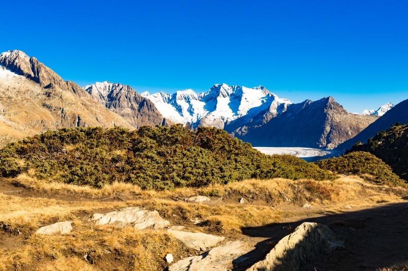 瑞士阿萊奇冰川自然風景圖片