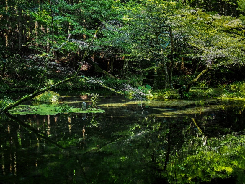 日本九州島熊本如畫風景圖片 