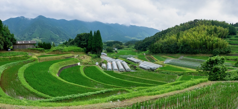 日本九州島熊本如畫風景圖片 