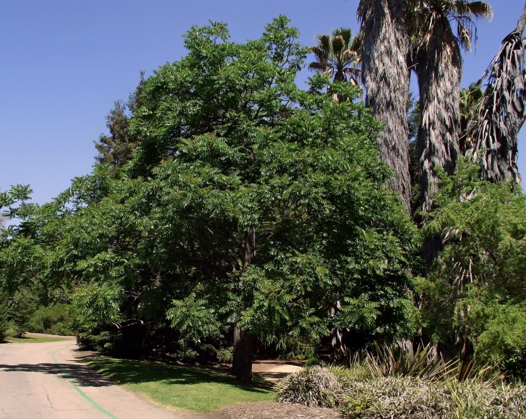 美國阿卡迪亞國家公園風景圖片