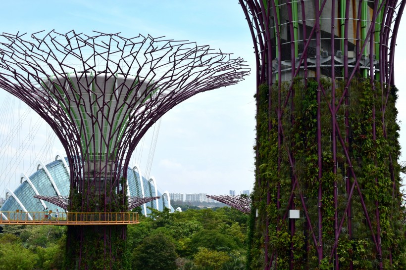 新加坡濱海灣花園風景圖片
