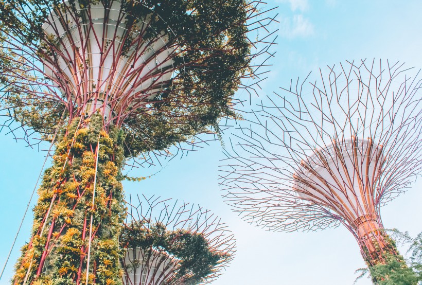 新加坡濱海灣花園風景圖片