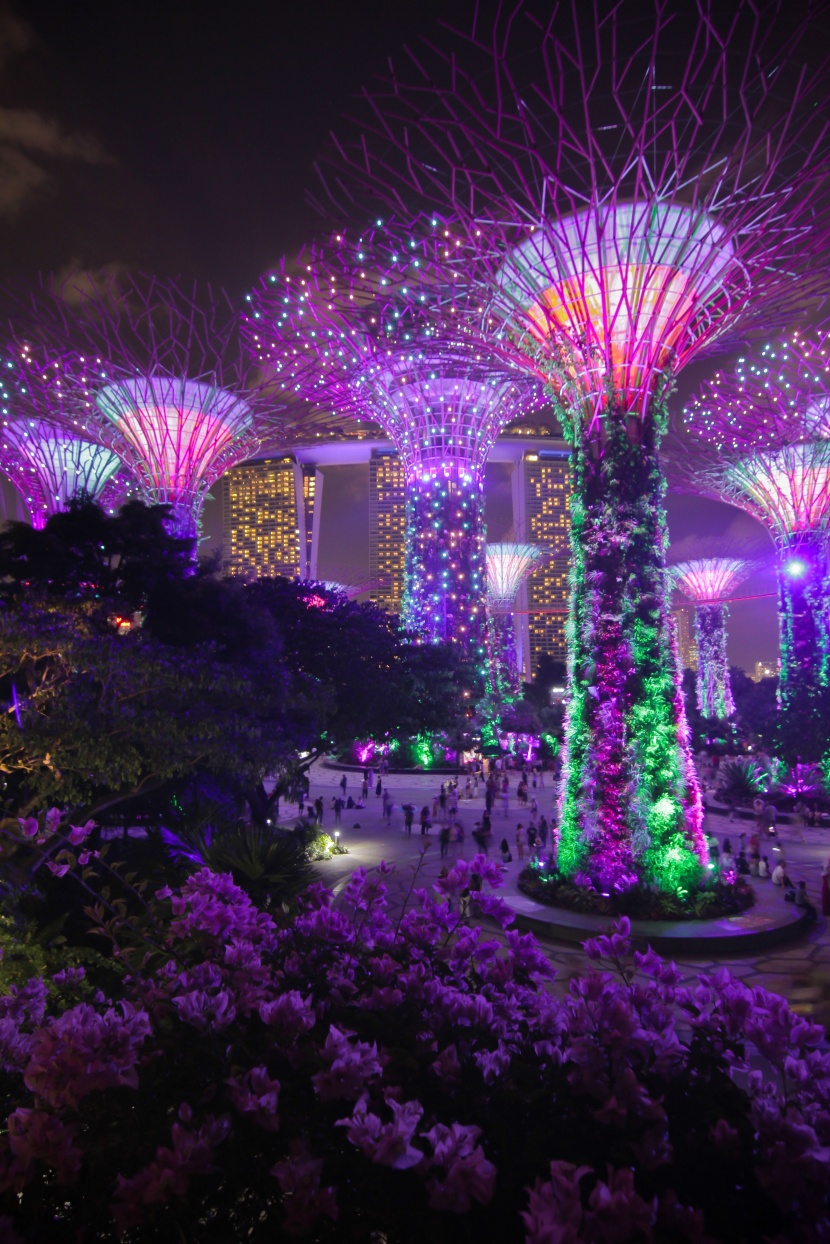 新加坡濱海灣花園風景圖片