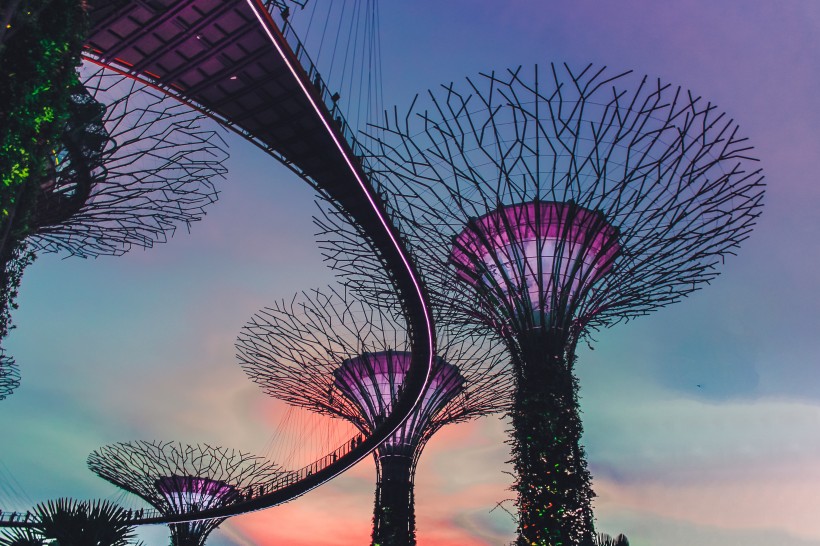 新加坡濱海灣花園風景圖片