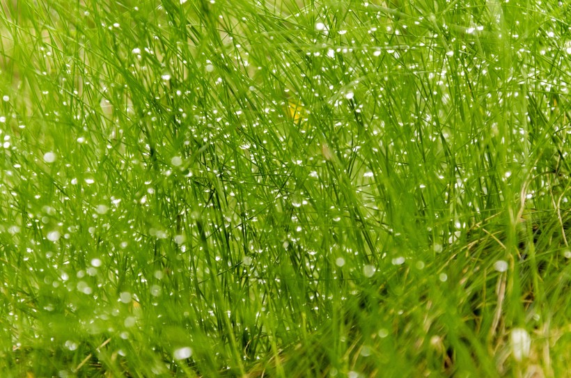 意大利普拉托美麗風景圖片