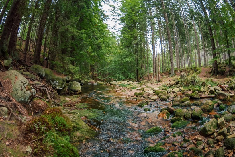 波蘭貝斯基德山風景圖片