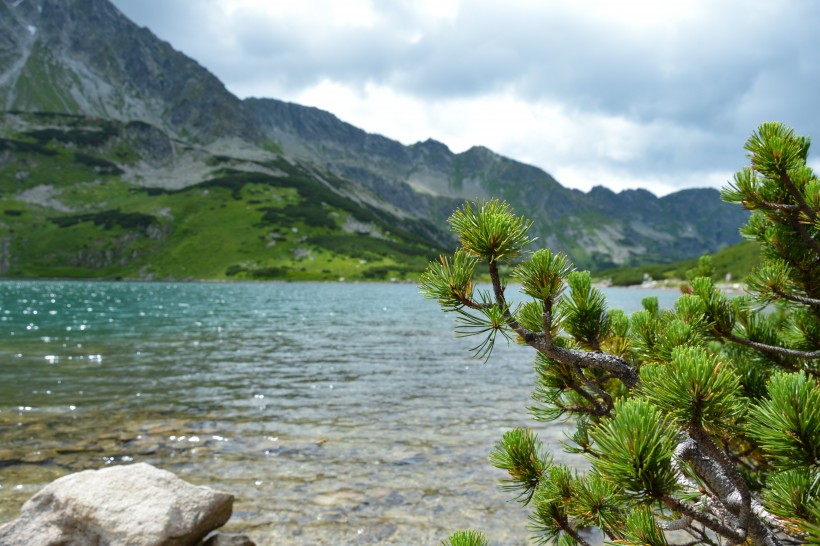 波蘭貝斯基德山風景圖片