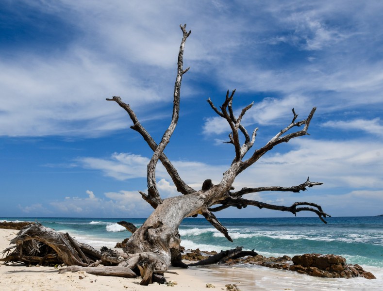 非洲塞舌爾群島自然風景圖片