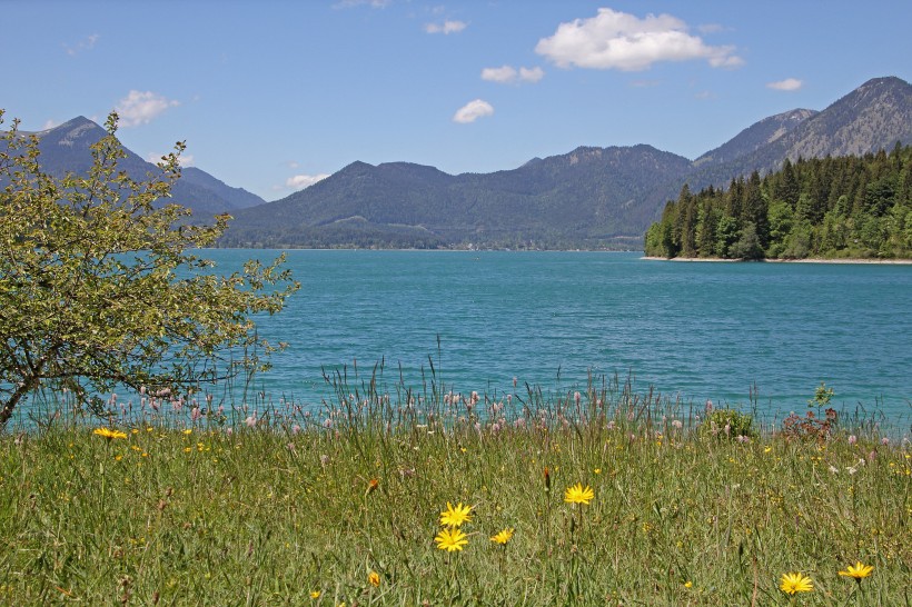 德國瓦爾興湖自然風景圖片