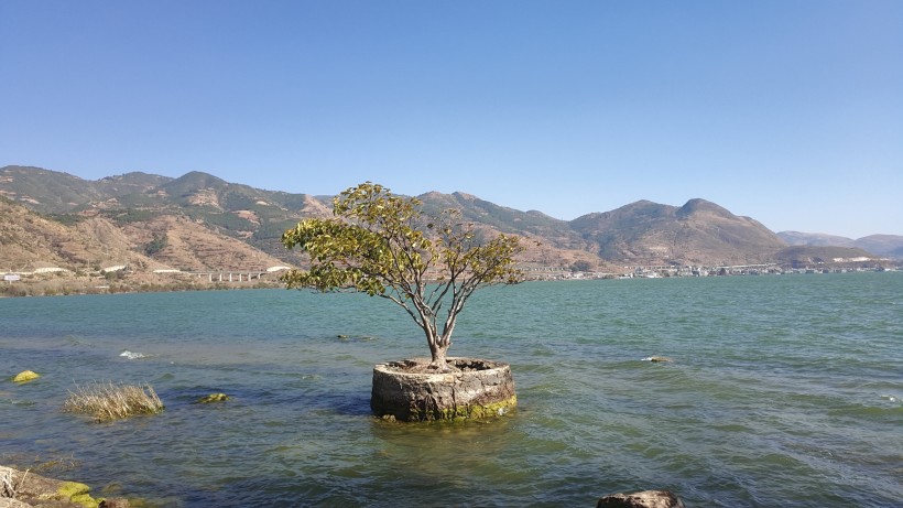 雲南大理洱海自然風景圖片