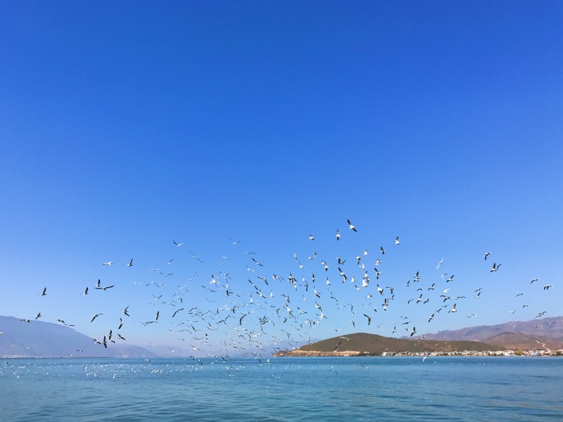 雲南大理洱海自然風景圖片