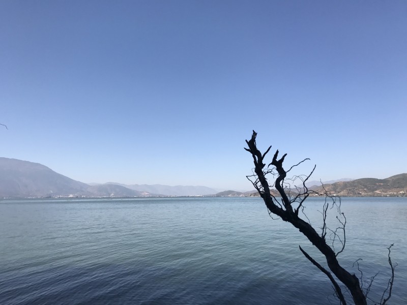 雲南大理洱海自然風景圖片