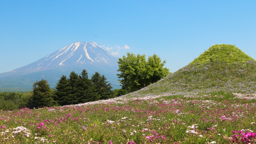 日本富士山優美風景圖片