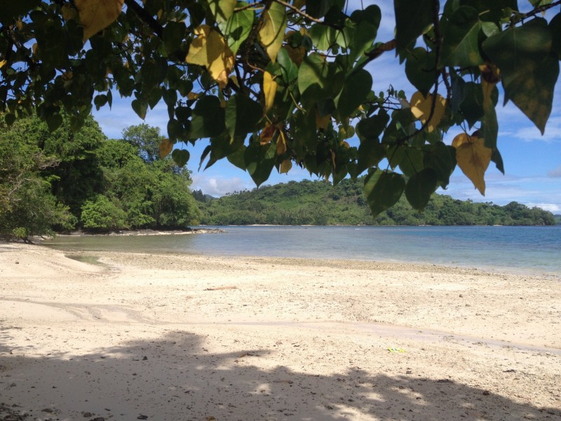 太平洋上的斐濟海岸風景圖片