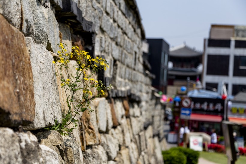 韓國水原華城建築風景圖片