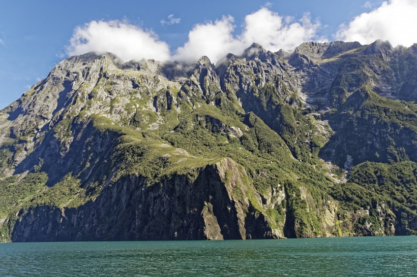 新西蘭南島米爾福德峽灣自然風景圖片