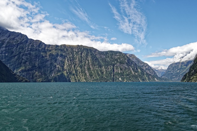 新西蘭南島米爾福德峽灣自然風景圖片