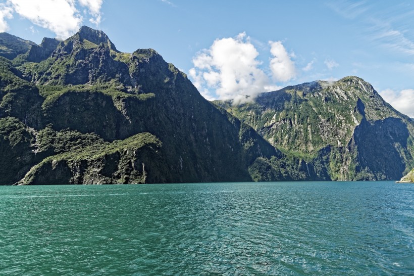 新西蘭南島米爾福德峽灣自然風景圖片