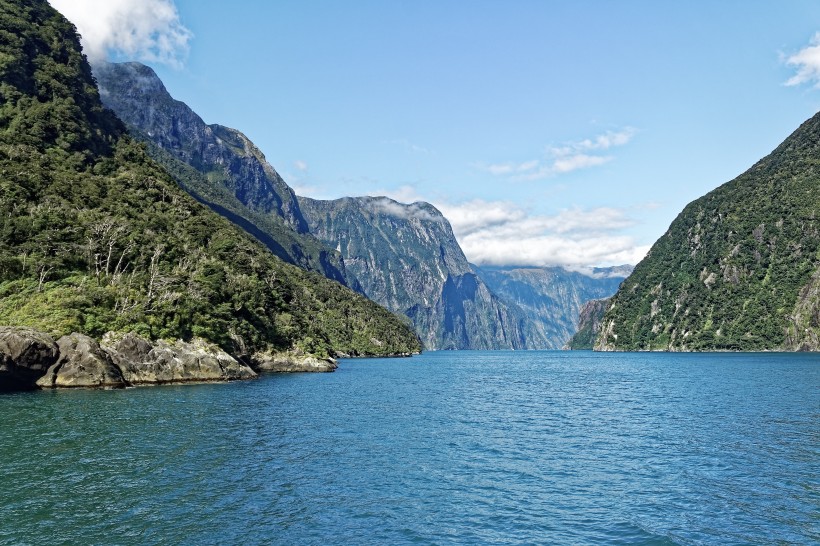 新西蘭南島米爾福德峽灣自然風景圖片