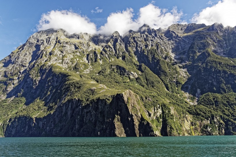 新西蘭南島米爾福德峽灣自然風景圖片