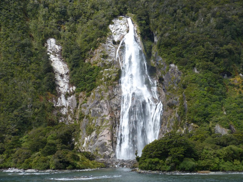 新西蘭南島米爾福德峽灣自然風景圖片