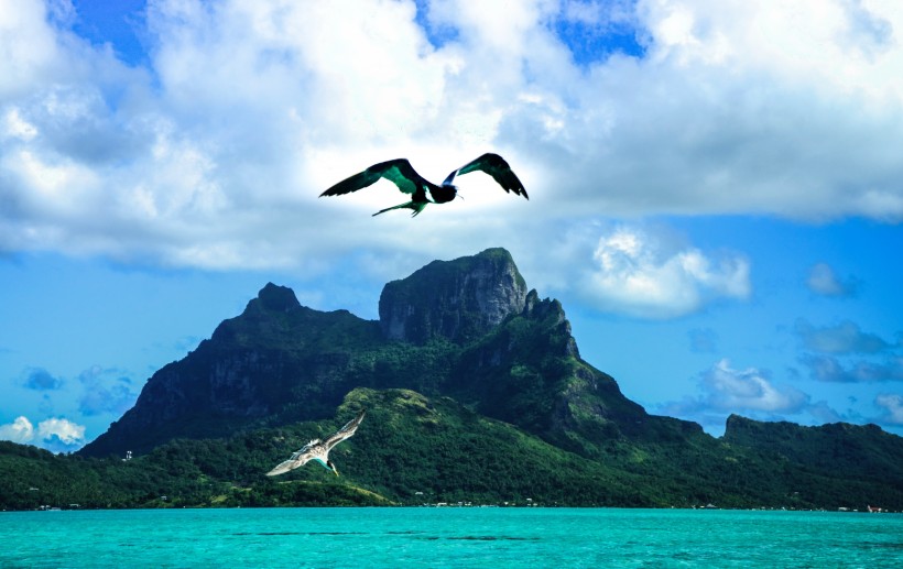 法國法屬波利尼西亞波拉波拉島風景圖片