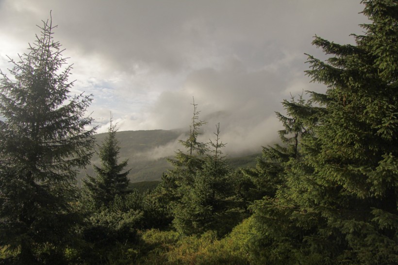 烏克蘭喀爾巴阡山自然風景圖片
